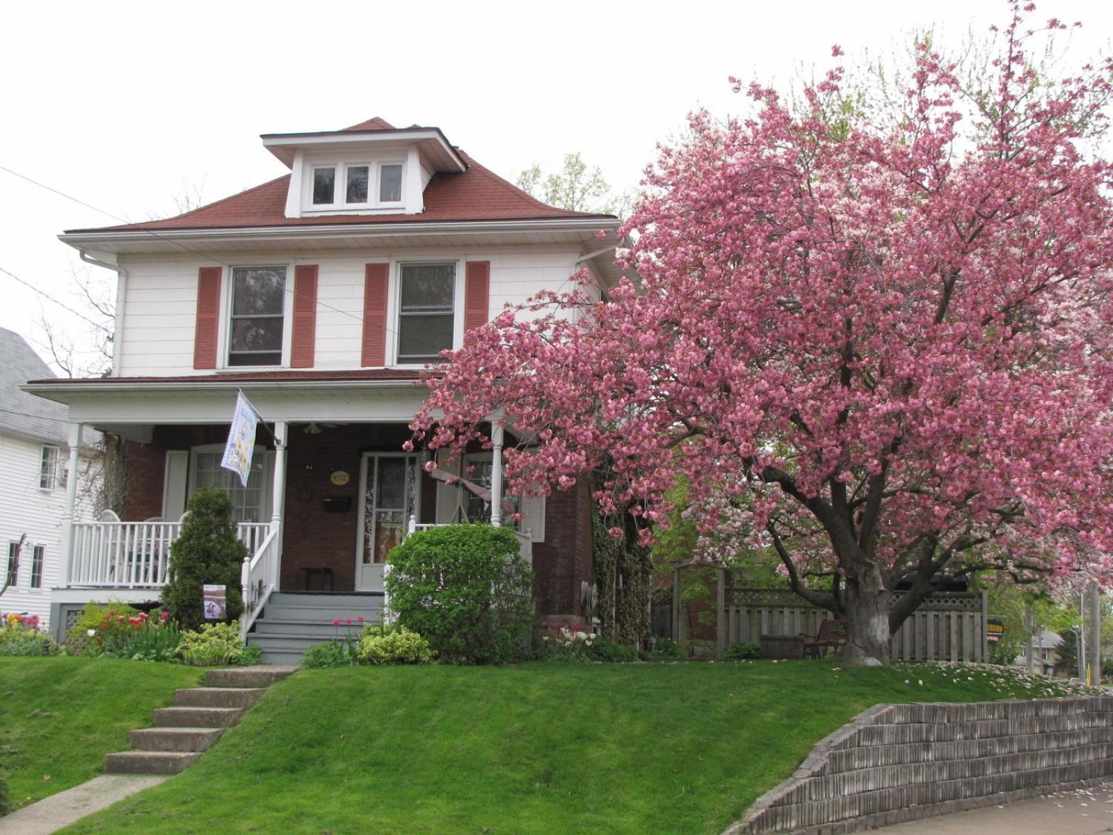 Strathaird Bed And Breakfast Niagara Falls Extérieur photo