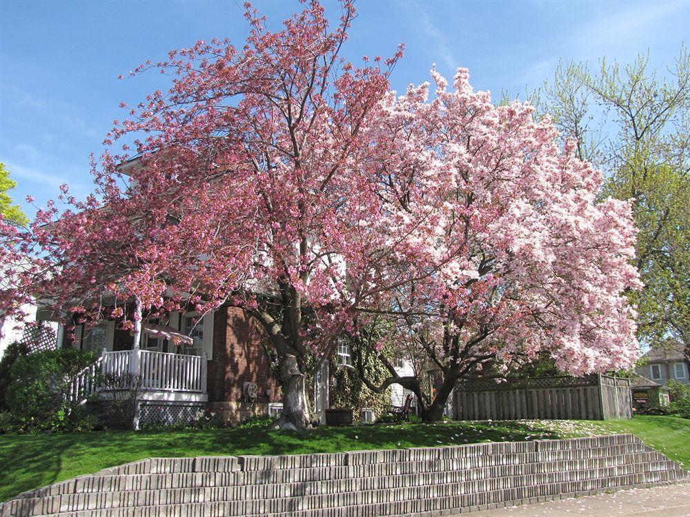 Strathaird Bed And Breakfast Niagara Falls Extérieur photo